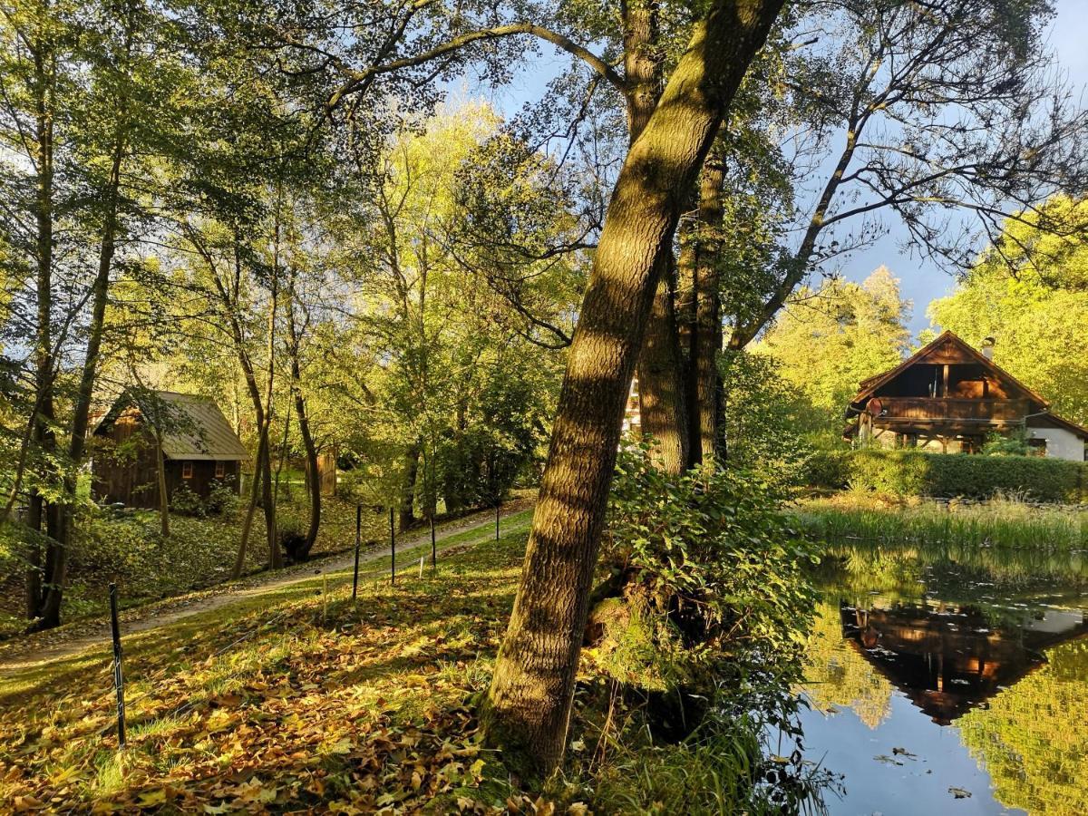 Apartmany Cerveny Dvur Chvalšiny Exteriör bild
