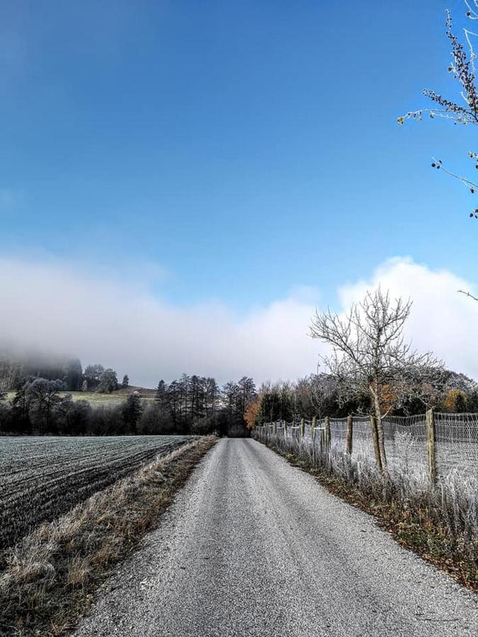 Apartmany Cerveny Dvur Chvalšiny Exteriör bild