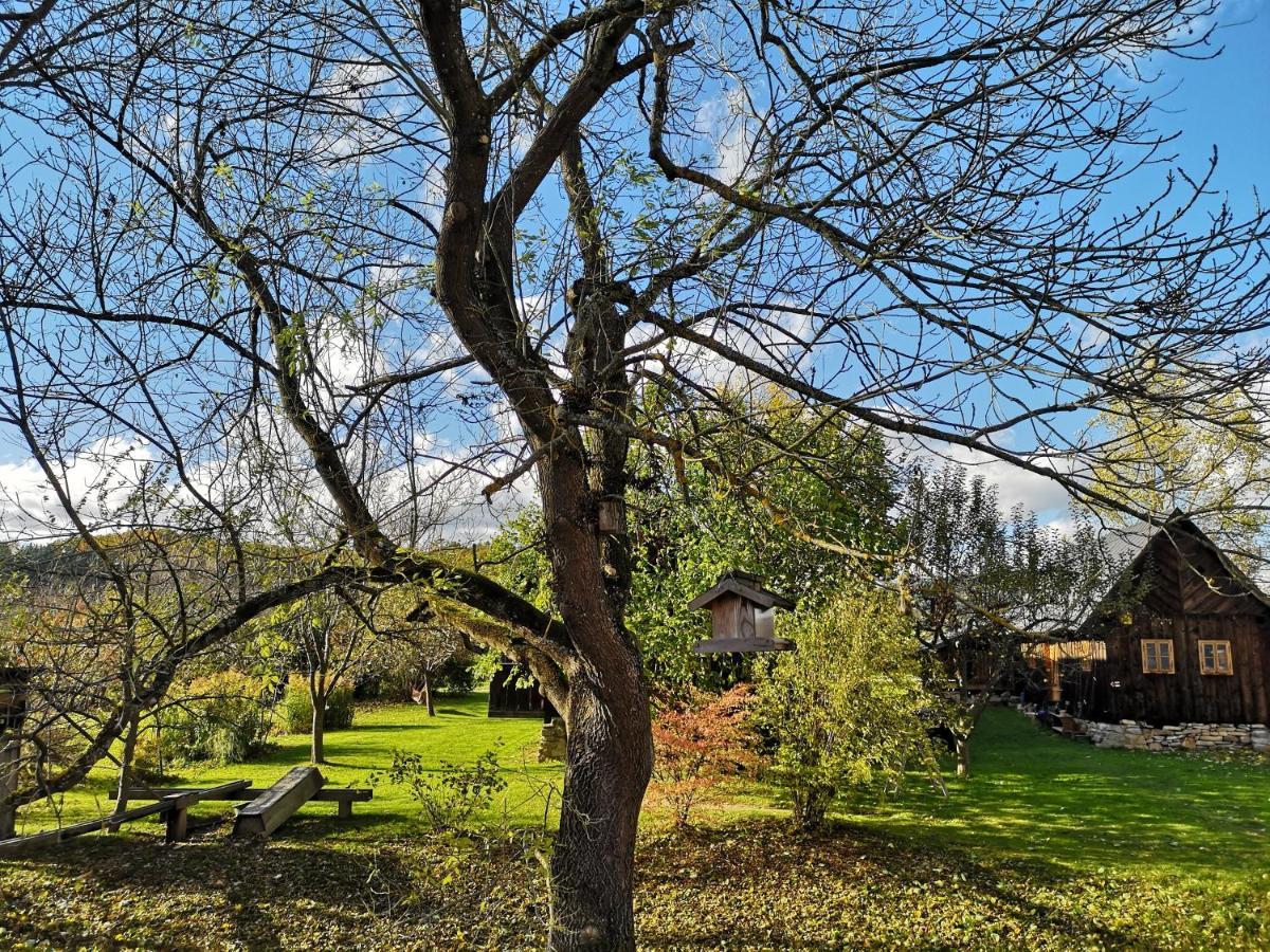 Apartmany Cerveny Dvur Chvalšiny Exteriör bild