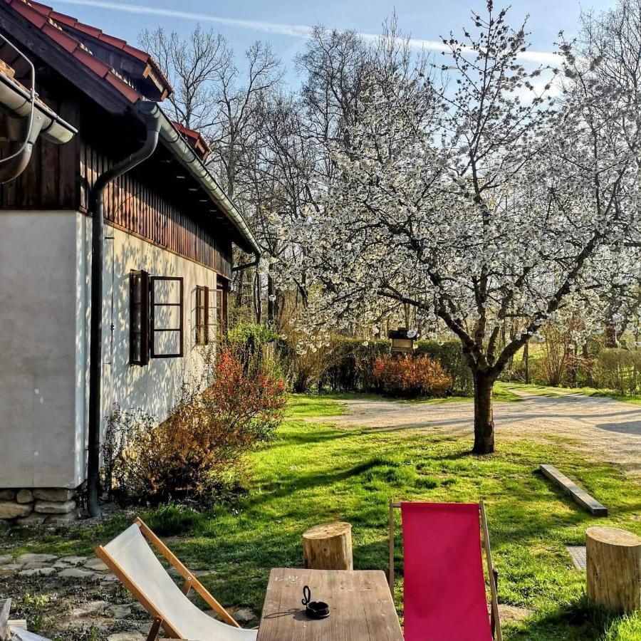 Apartmany Cerveny Dvur Chvalšiny Exteriör bild