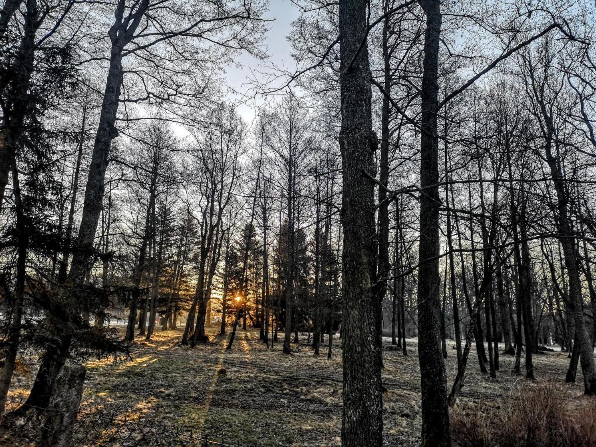 Apartmany Cerveny Dvur Chvalšiny Exteriör bild